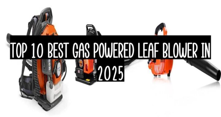 Top 10 Best Gas Powered Leaf Blower In 2025